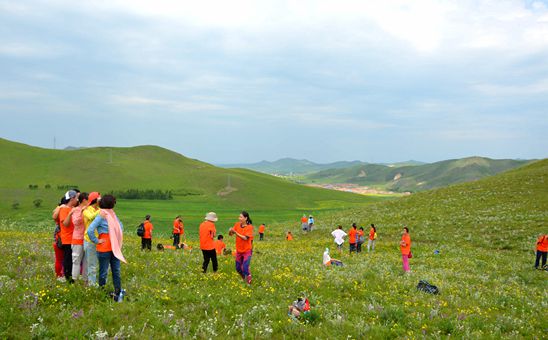 ​七月初60人的草原团建旅行活动案例